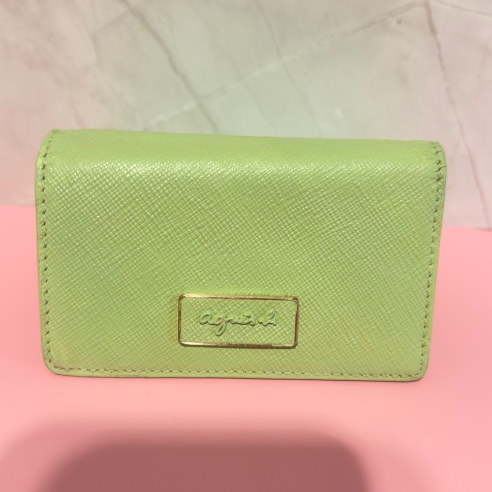 Agnes B. Light Green Card Holder